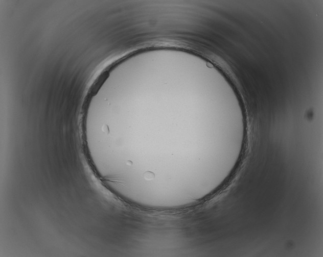 X0000115831133200912241950