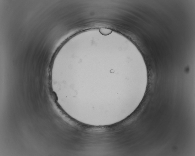 X0000115831134200912241950