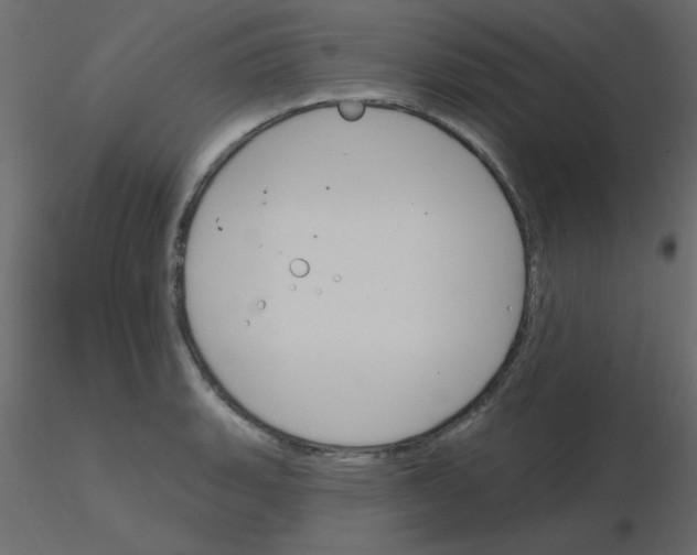 X0000115831135200912241950