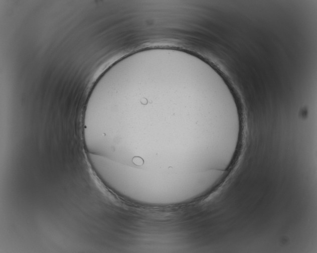 X0000115831137200912241950