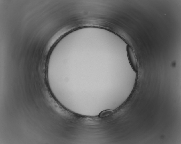 X0000115831138200912241950