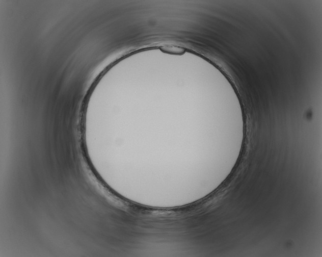 X0000115831142200912241950