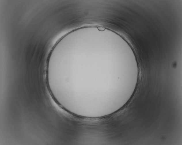 X0000115831143200912241950