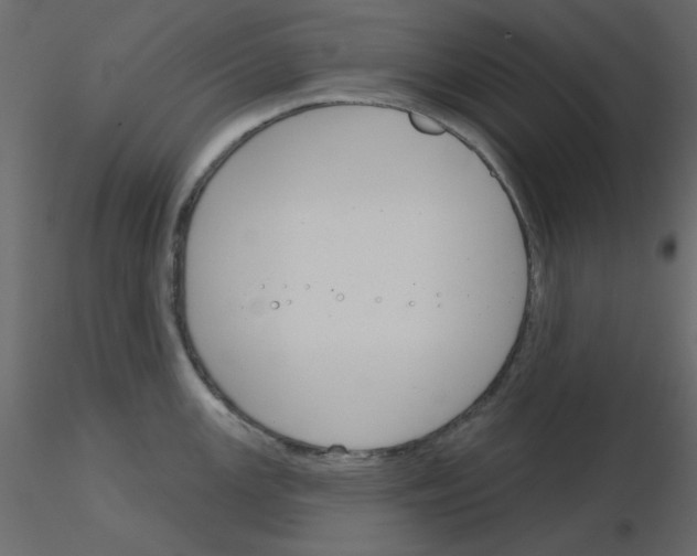 X0000115831147200912241950