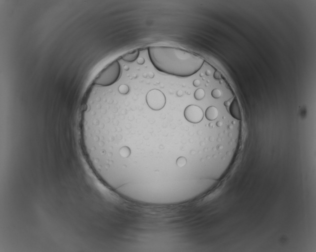 X0000115831149200912241950