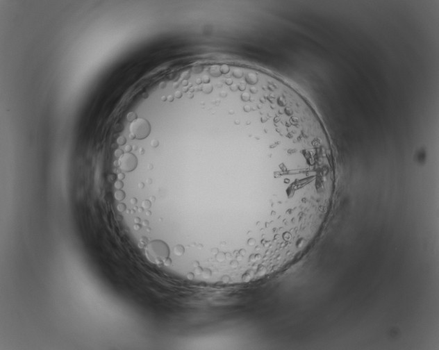 X0000115831150200912241950