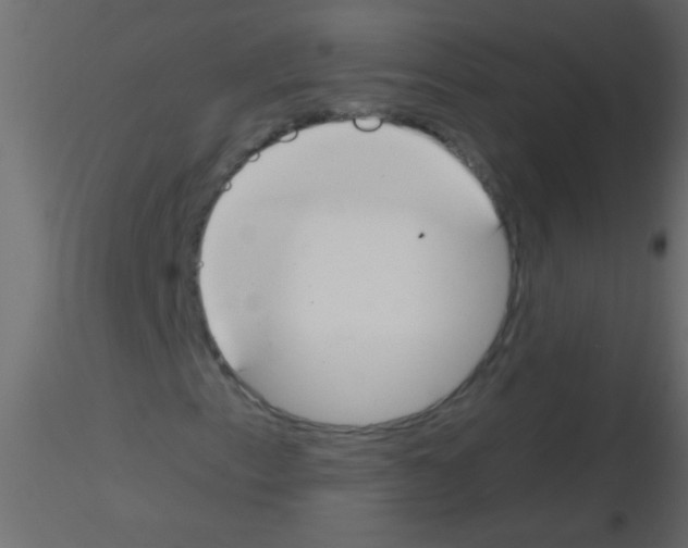 X0000115831153200912241950