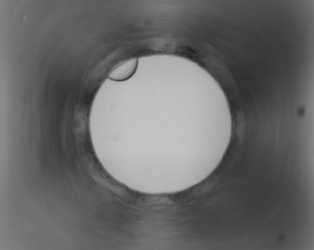 X0000115831154200912241950