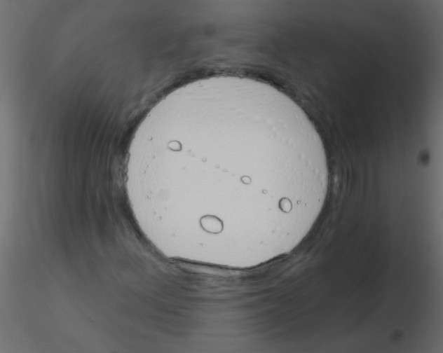 X0000115831156200912241950