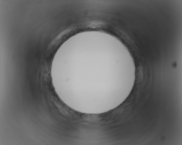 X0000115831158200912241950