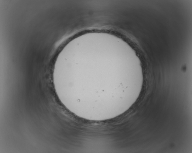 X0000115831160200912241950