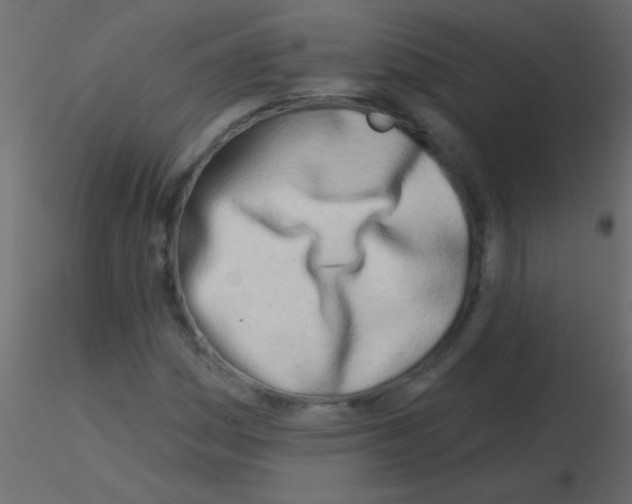 X0000115831161200912241950