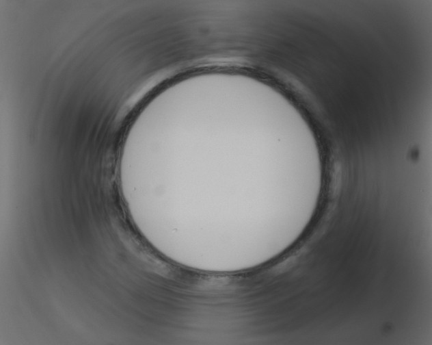 X0000115831162200912241950