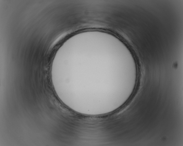 X0000115831163200912241950