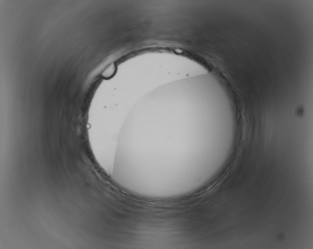 X0000115831165200912241950