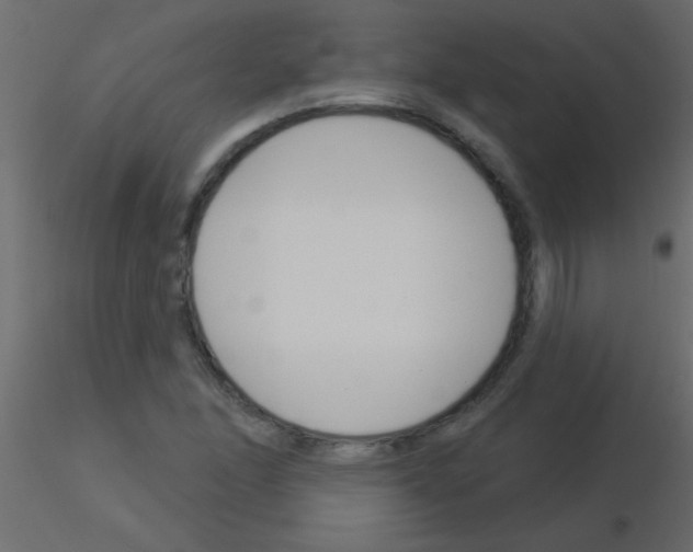 X0000115831166200912241950