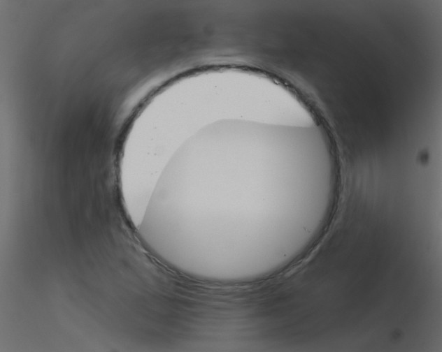 X0000115831167200912241950