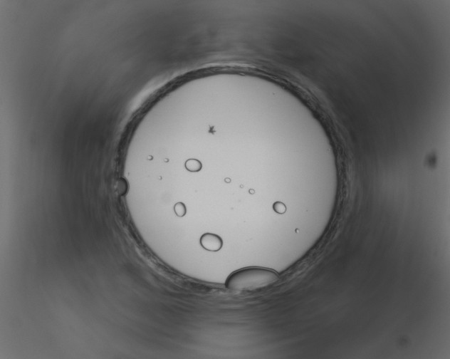 X0000115831168200912241950