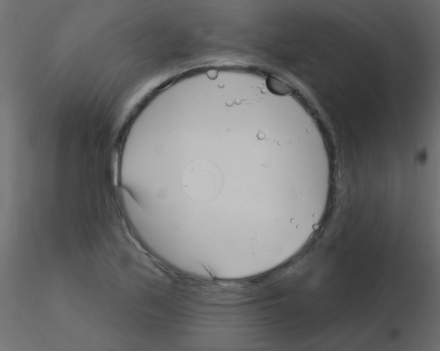 X0000115831171200912241950