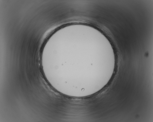 X0000115831172200912241950