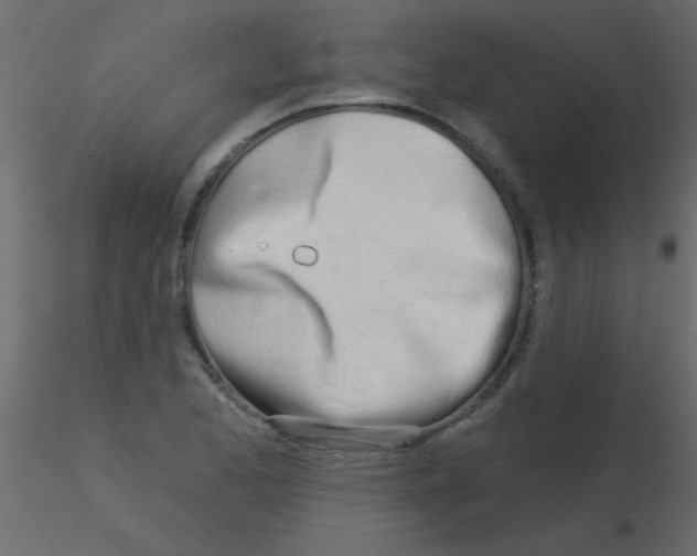 X0000115831173200912241950