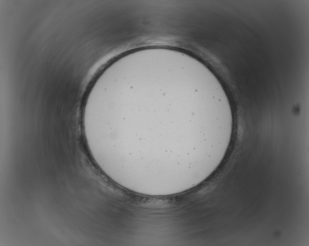 X0000115831174200912241950