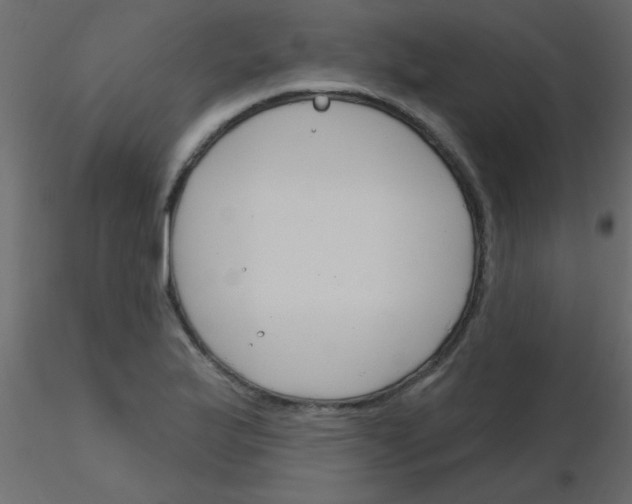 X0000115831175200912241950