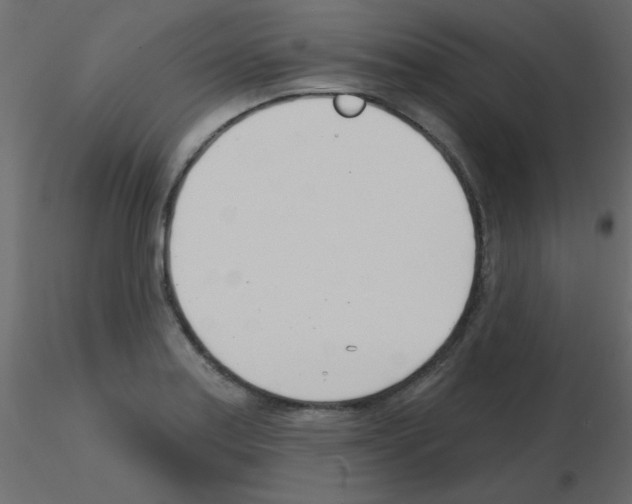 X0000115831179200912241949