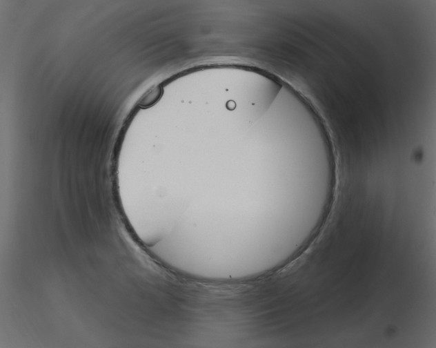 X0000115831181200912241949