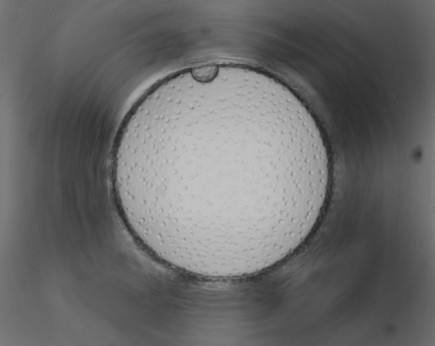 X0000115831182200912241949