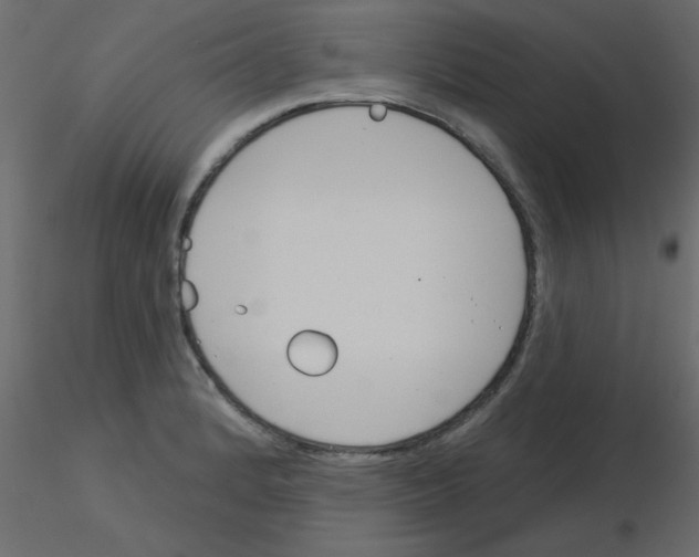 X0000115831184200912241949