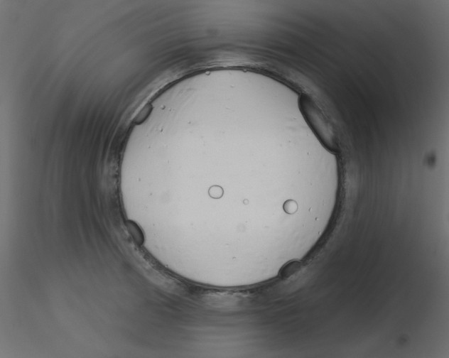 X0000115831185200912241949