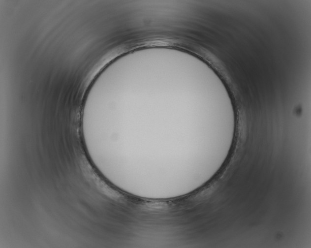 X0000115831186200912241949