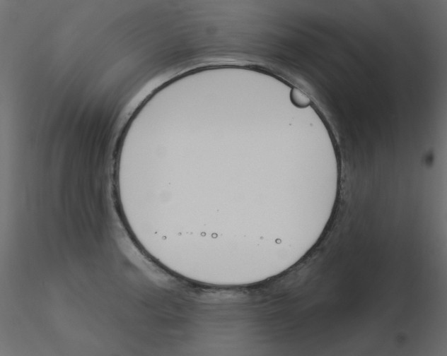 X0000115831187200912241949