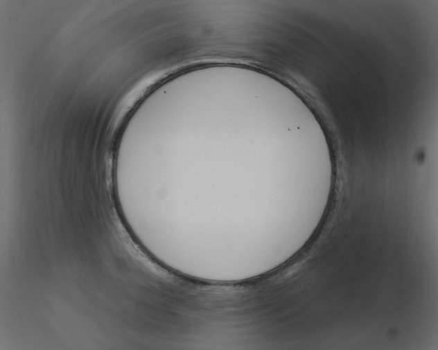 X0000115831188200912241949