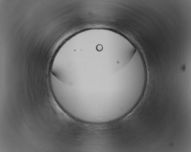 X0000115831189200912241949