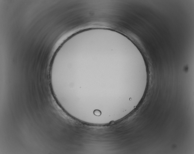 X0000115831192200912241949