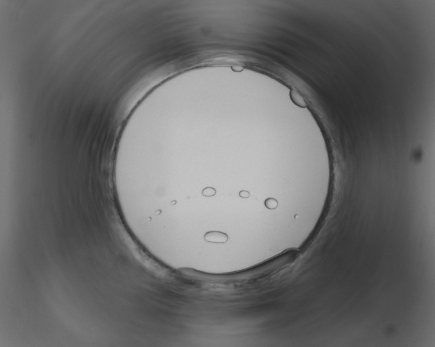 X0000115831194200912241949