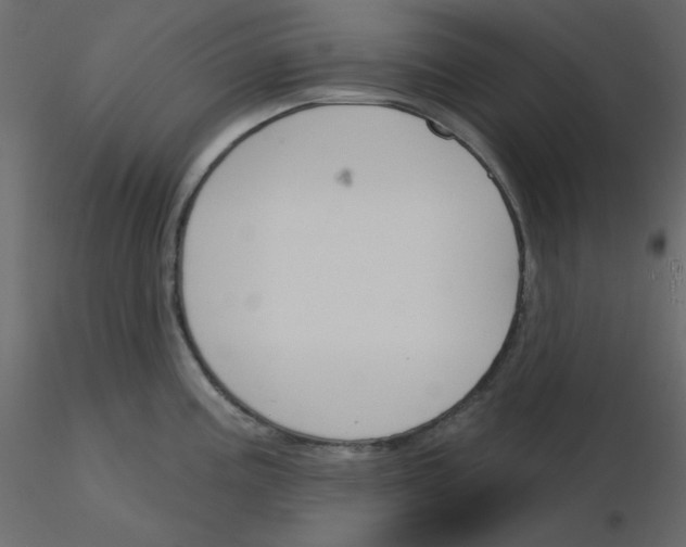 X0000115831195200912241949