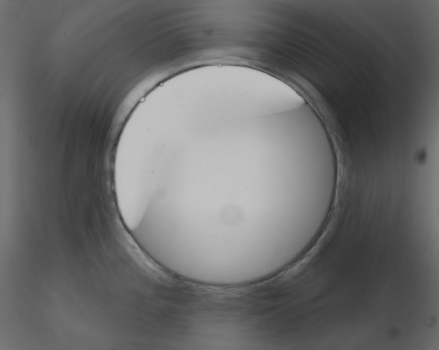 X0000115831196200912241949