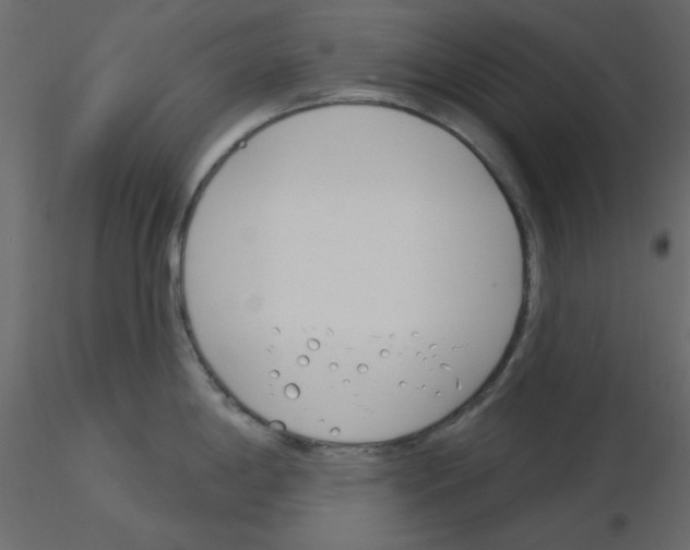 X0000115831198200912241949