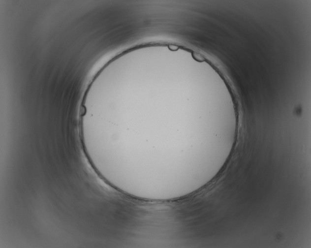 X0000115831199200912241949