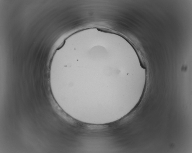 X0000115831200200912241949