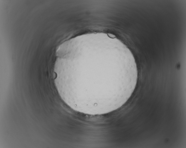 X0000115831201200912241949