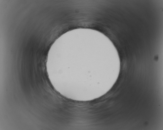 X0000115831202200912241949