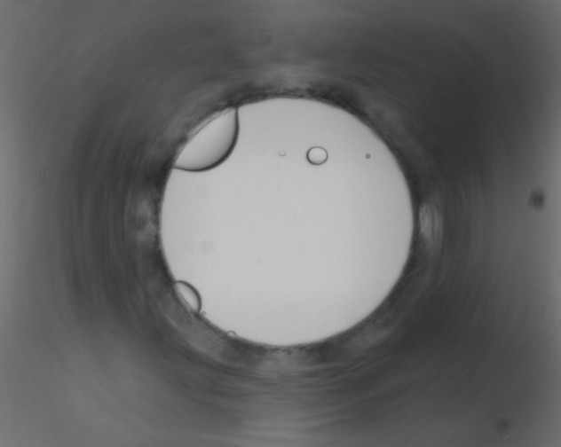 X0000115831203200912241949