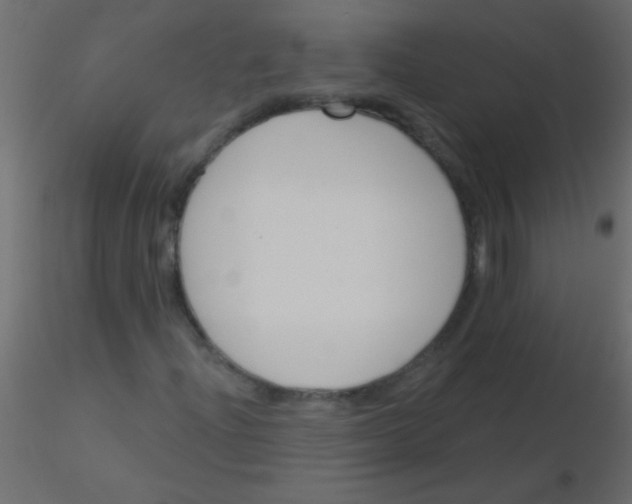 X0000115831204200912241949