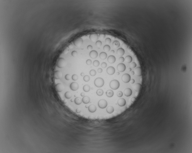 X0000115831205200912241949