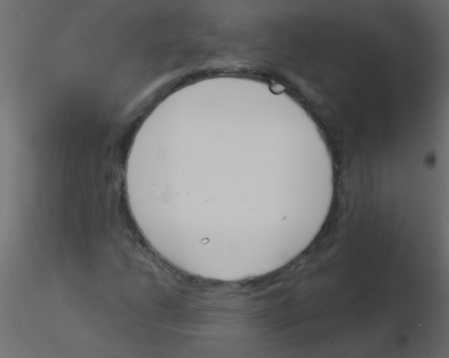 X0000115831206200912241949