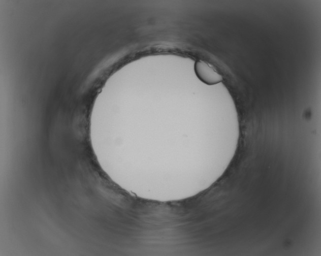 X0000115831207200912241949